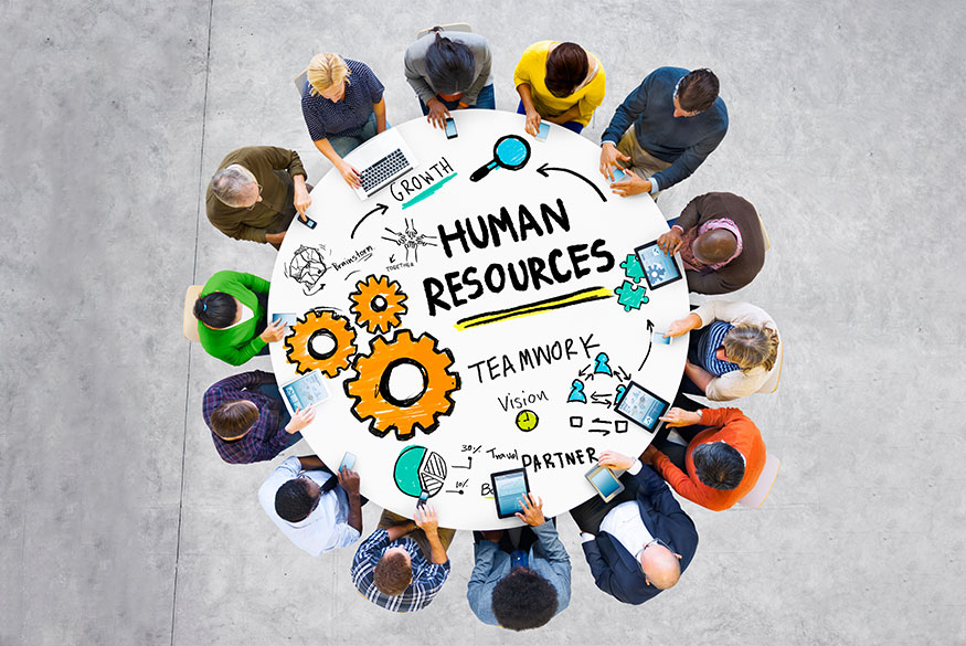 Human Resources role